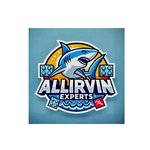 AllirvinExperts