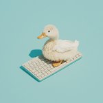 DuckTyping