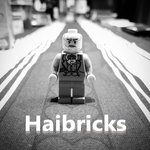 Haibricks