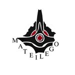 MATEILEGO