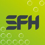 SFH_Bricks