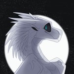 Snowfox of the Icewings