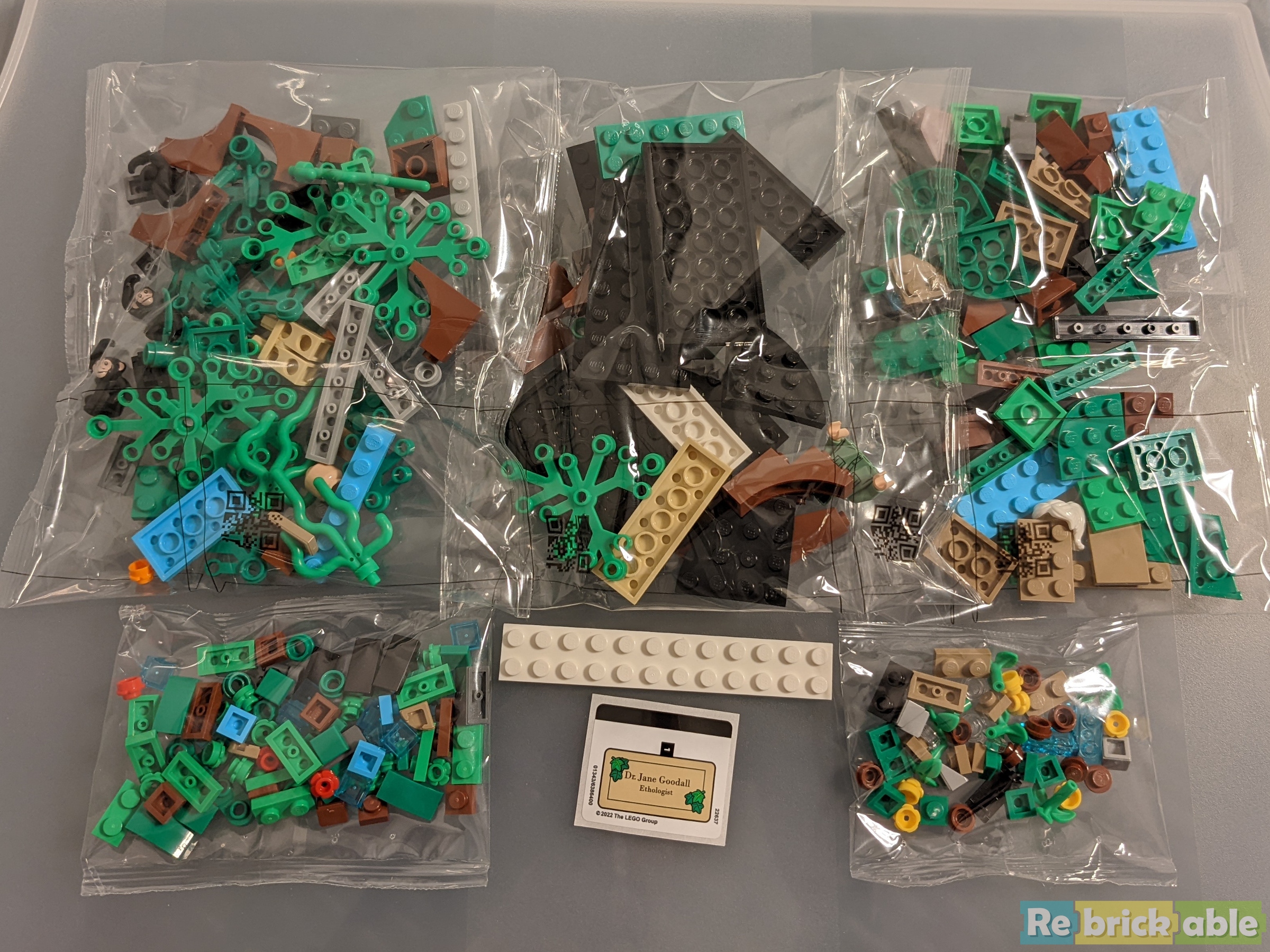 レジ Review: LEGO 40530 Jane Goodall Tribute (gift with purchase