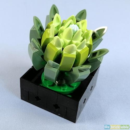 Review: 10309-1 - Succulents | Rebrickable - Build with LEGO