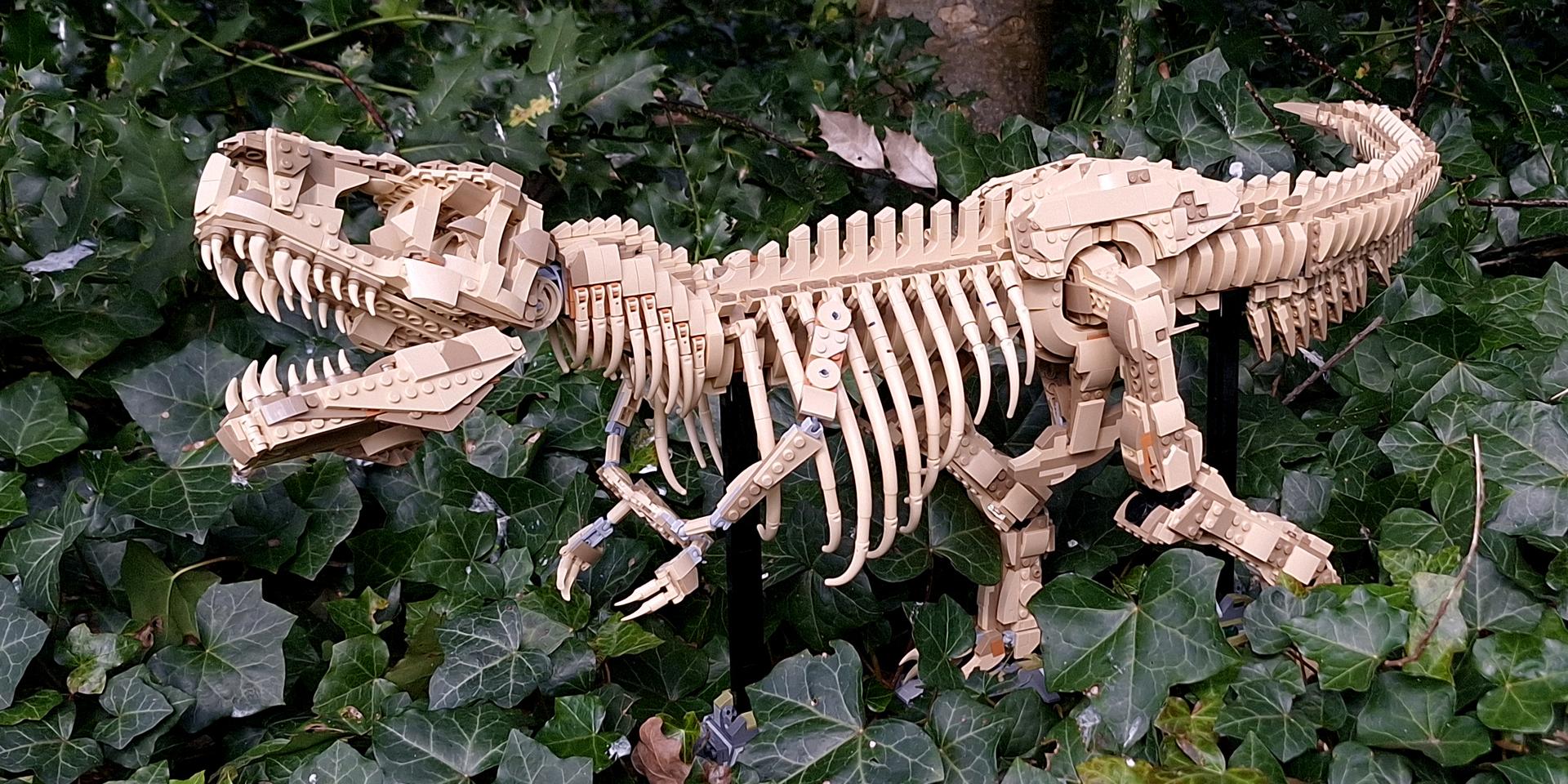 Review & Designer Q&A: 76968-1 Dinosaur Fossils: Tyrannosaurus Rex