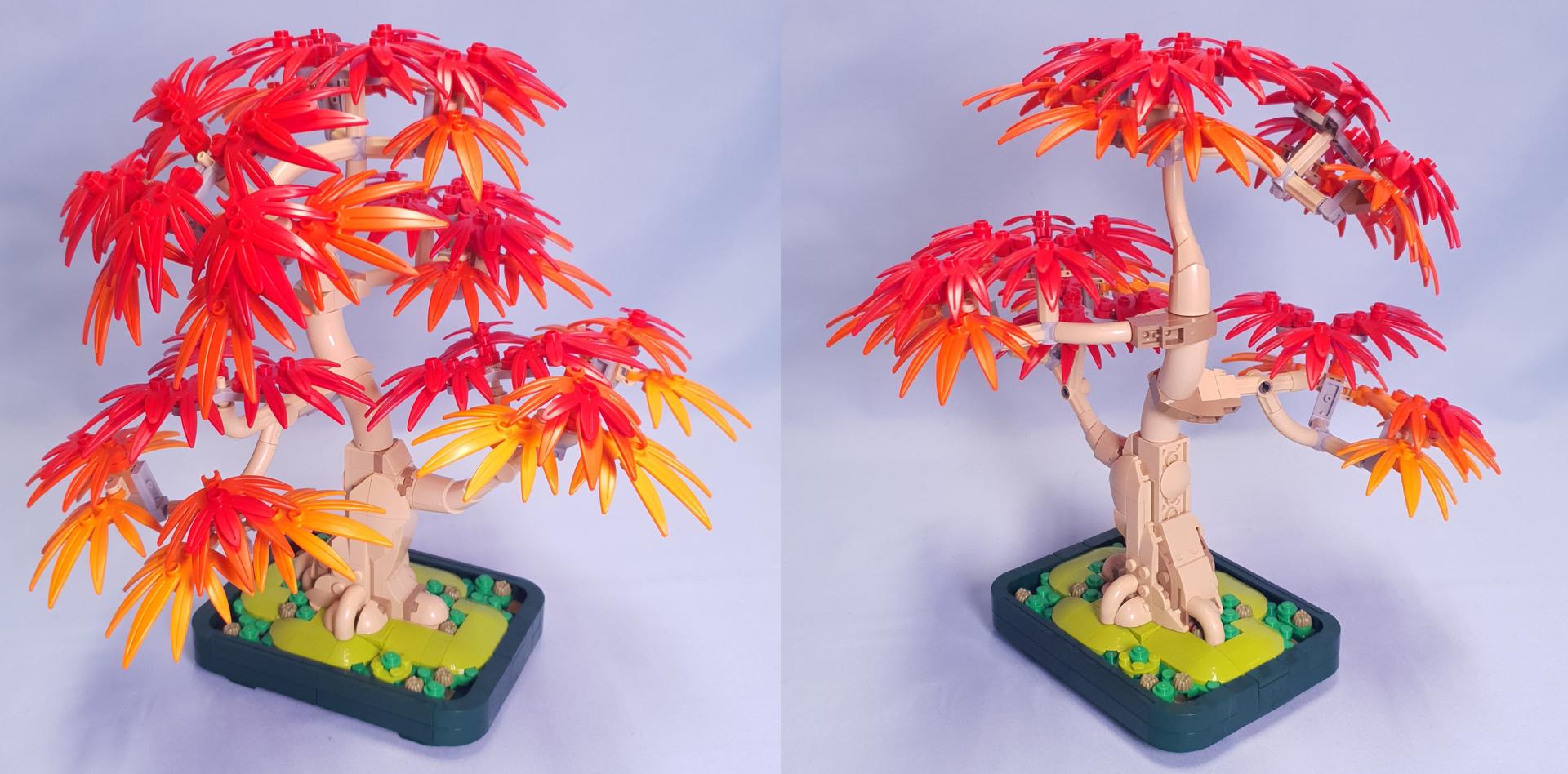Review: 10348-1 - Japanese Red Maple Bonsai Tree