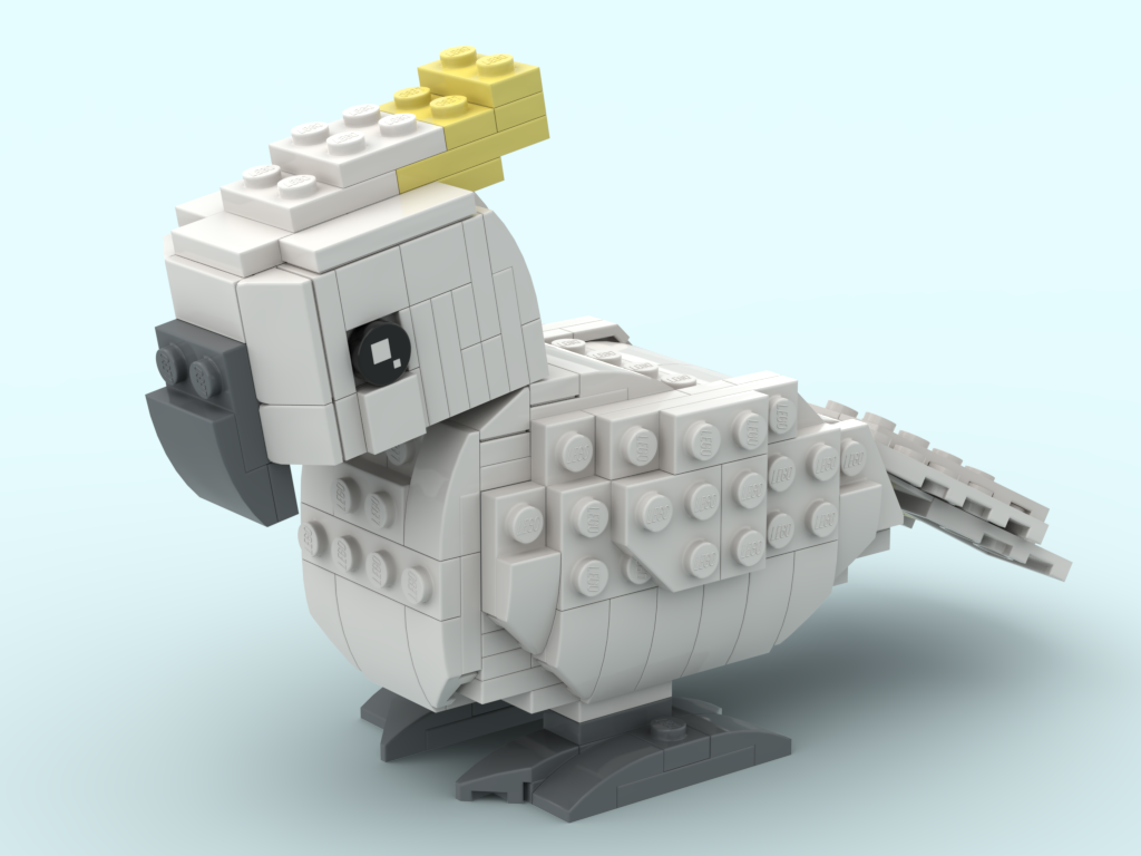 Sulphur-crested cockatoo