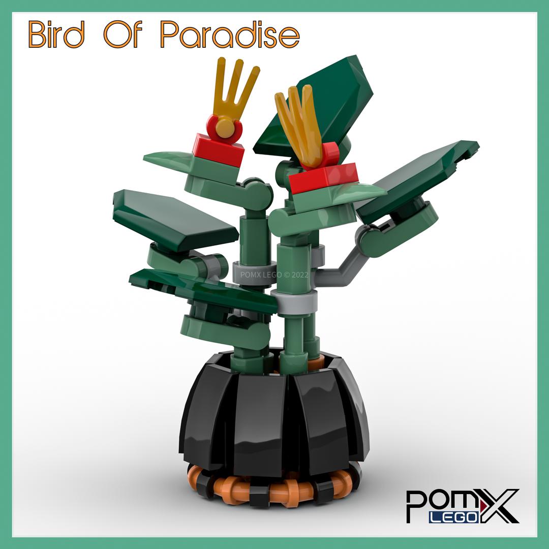 Micro Bird Of Paradise