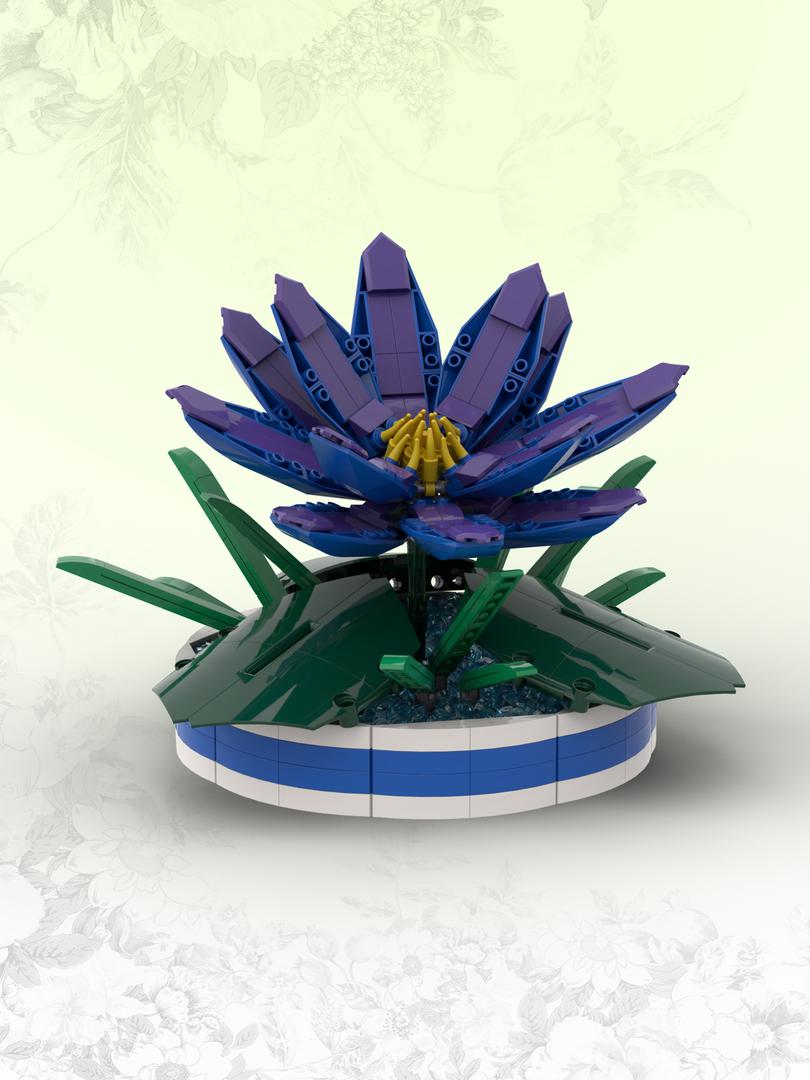 Blue Lotus (BT003)