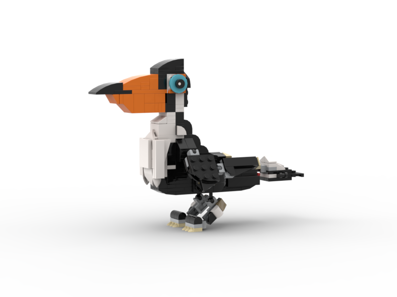31129 Toucan