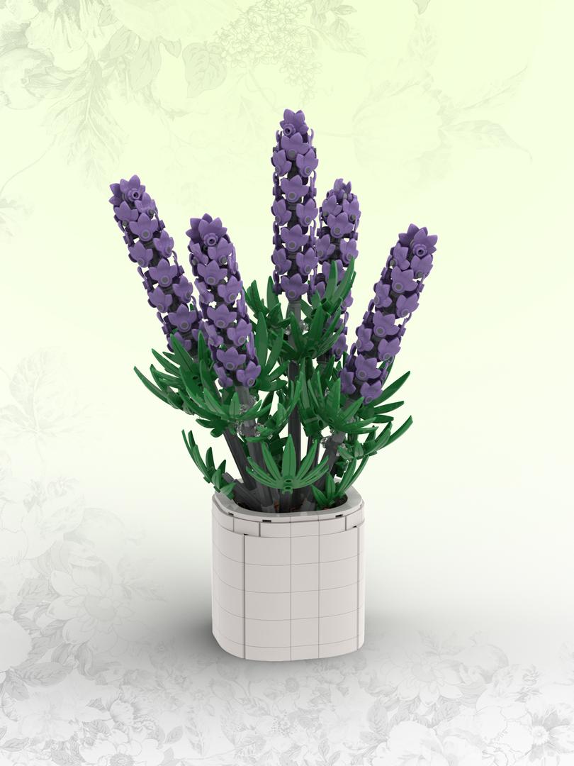 Lavender (BT021)