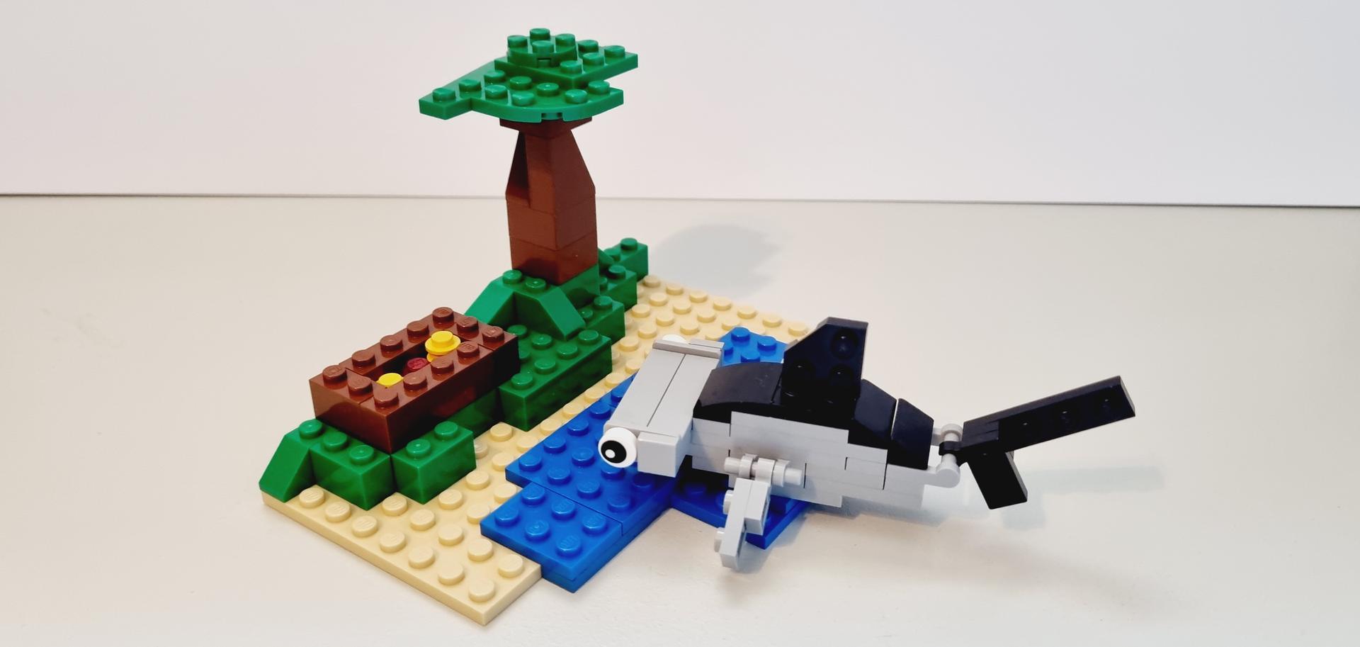 Small Hammerhead Shark and beach