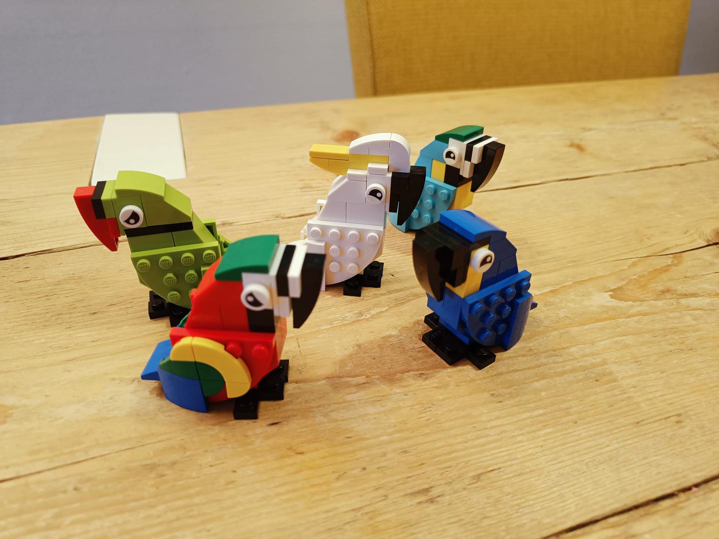 Ara parade, small size parrots