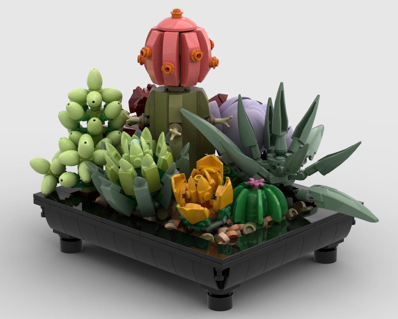 Succulents in a pot