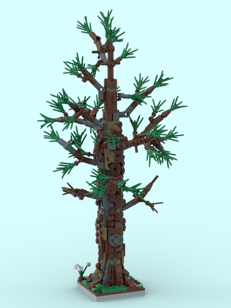 Pine tree