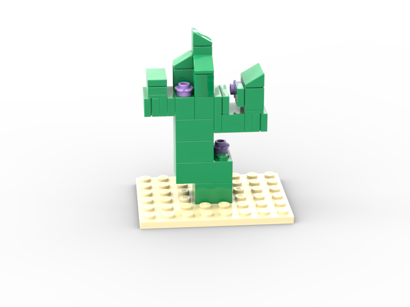 Cactus (with flowers)