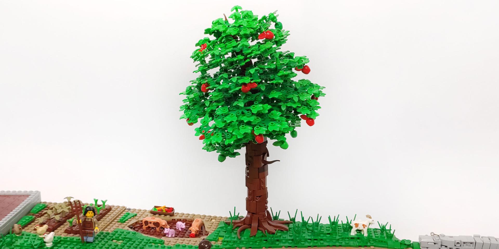 Apple tree