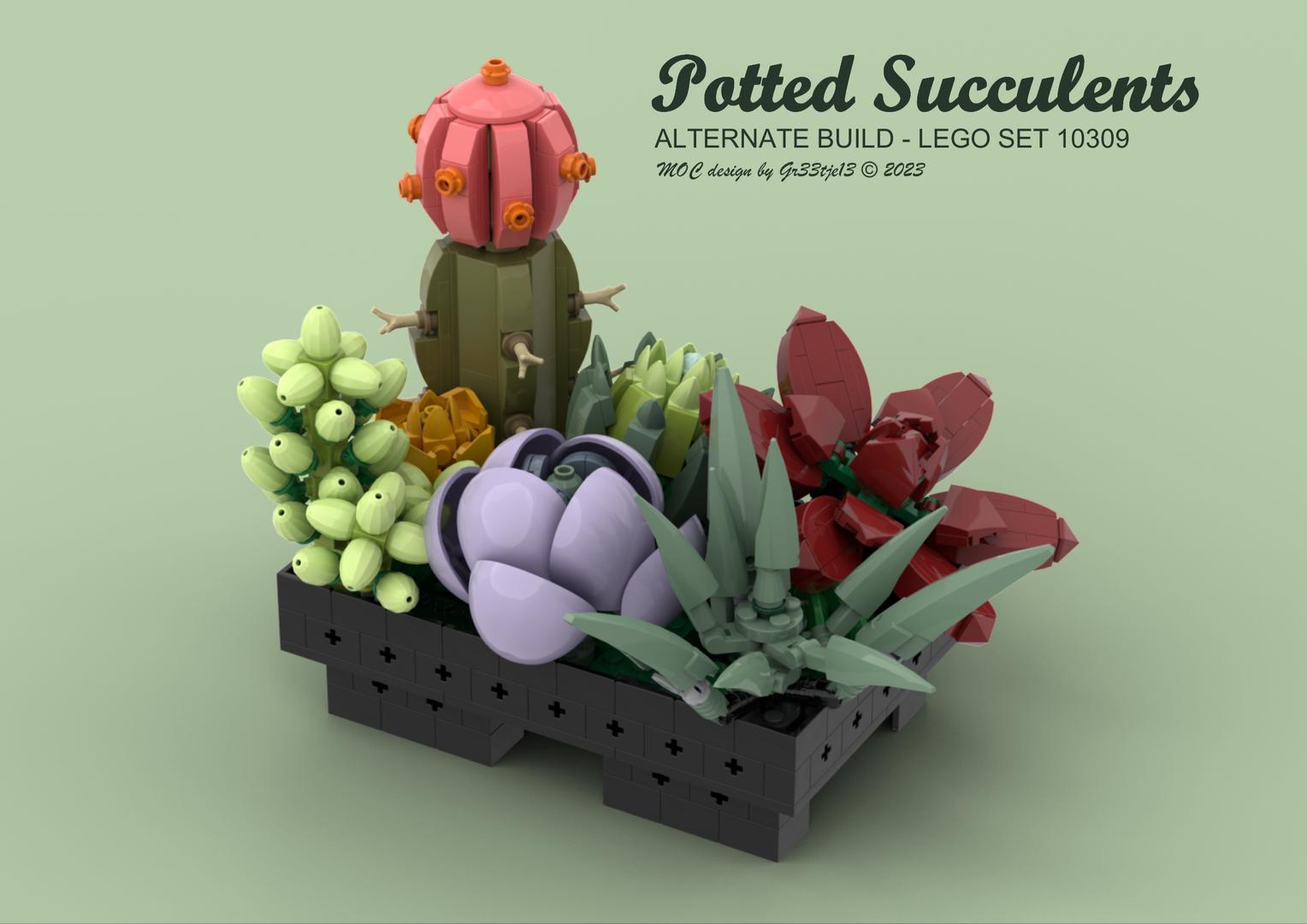 Potted Succulents alternate build