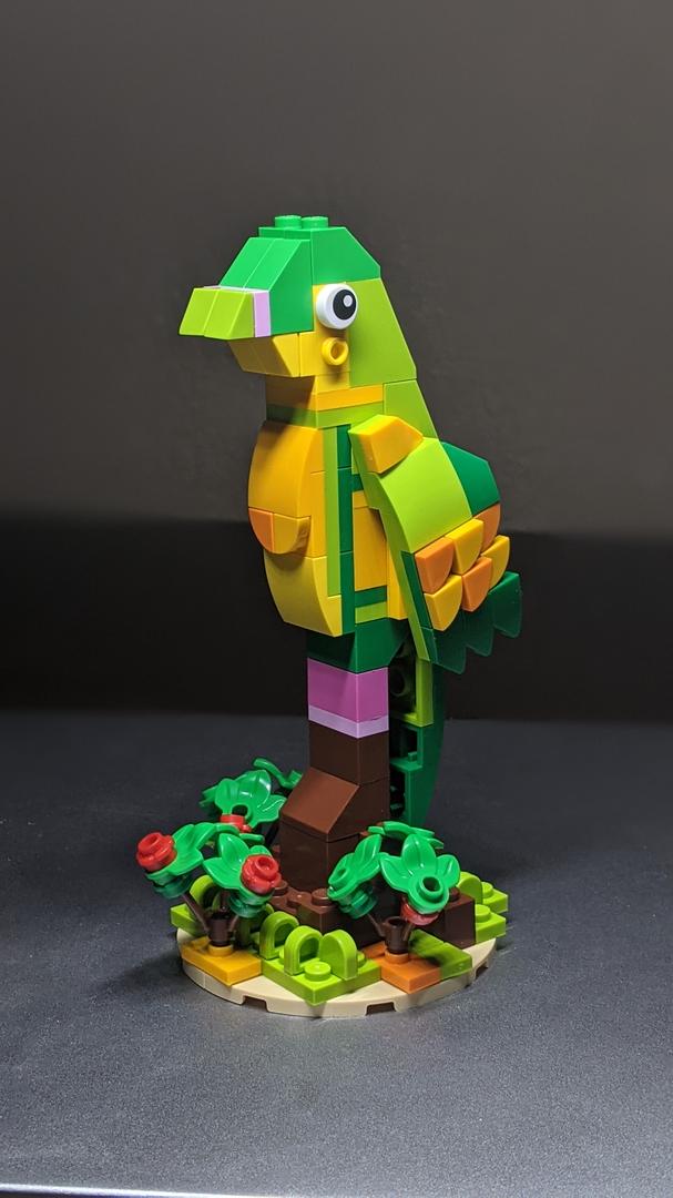 40522 Macaw Tropical Bird - Alternate Build