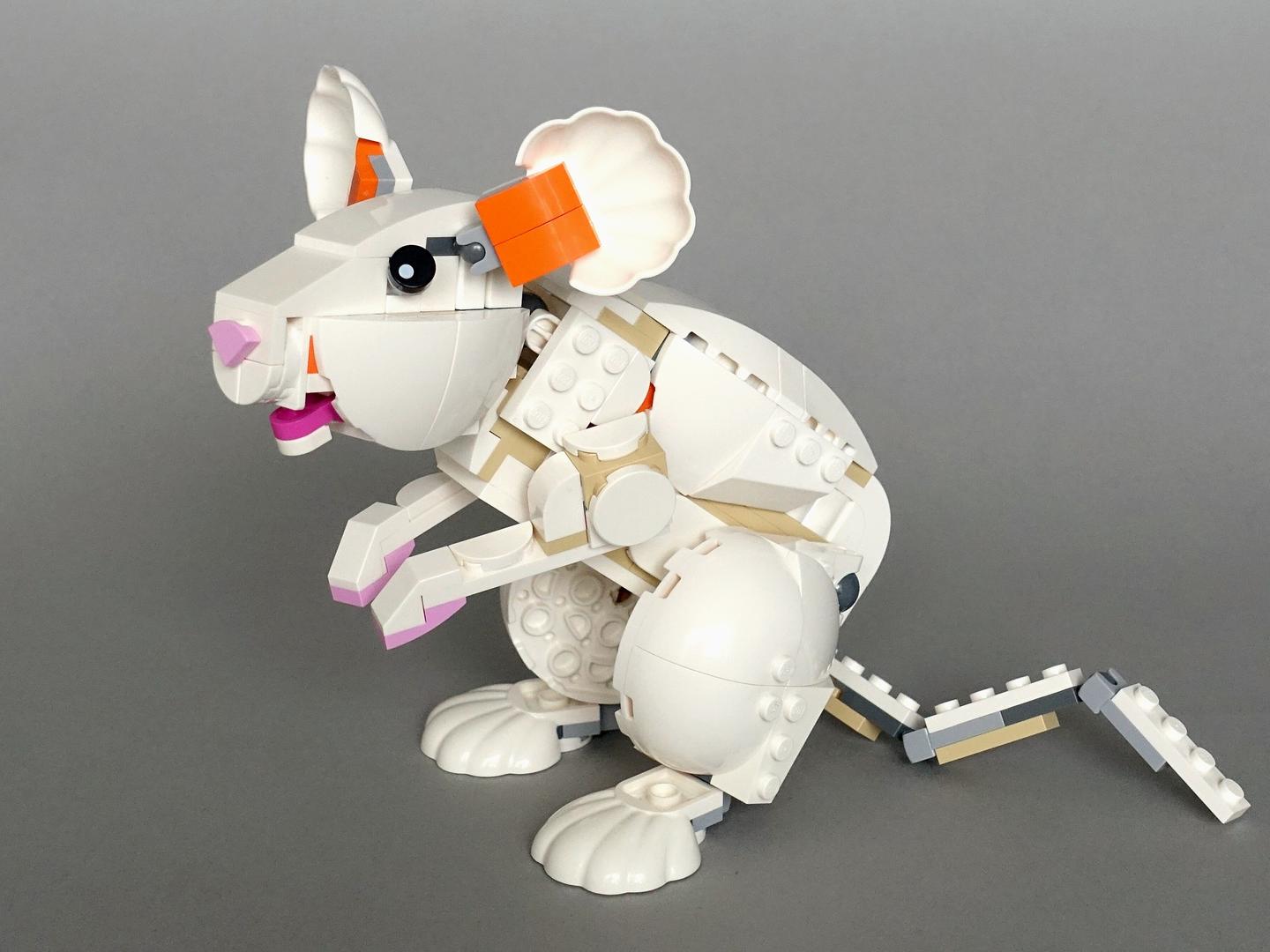 31133: Laboratory Rat