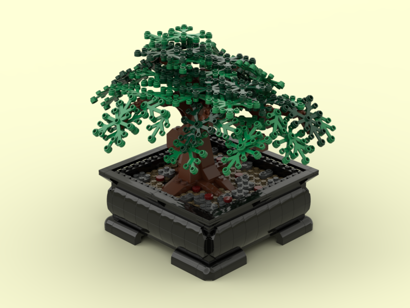 Bonsai Tree