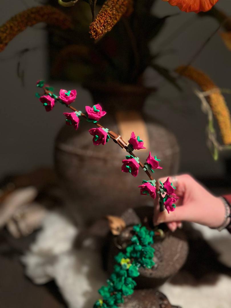 Cherry Blossom branch