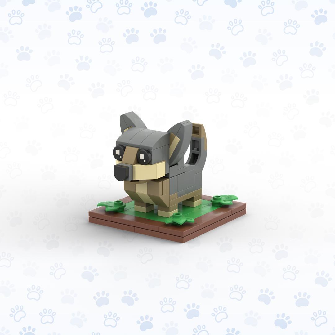 Swedish Vallhund (DG002)