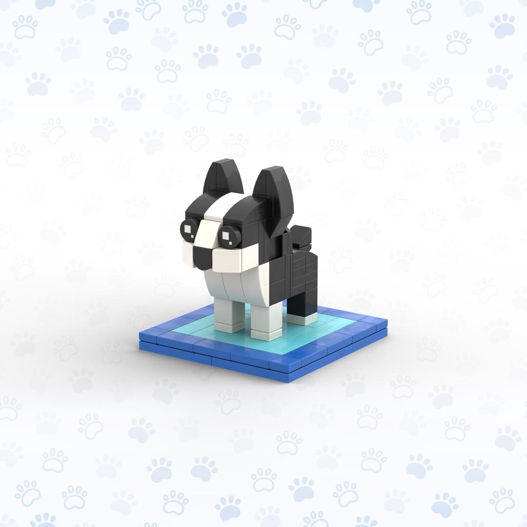Boston Terrier (DG003)