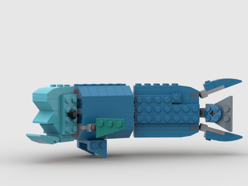 Humphead Wrasse (AKA Napoleonfish)