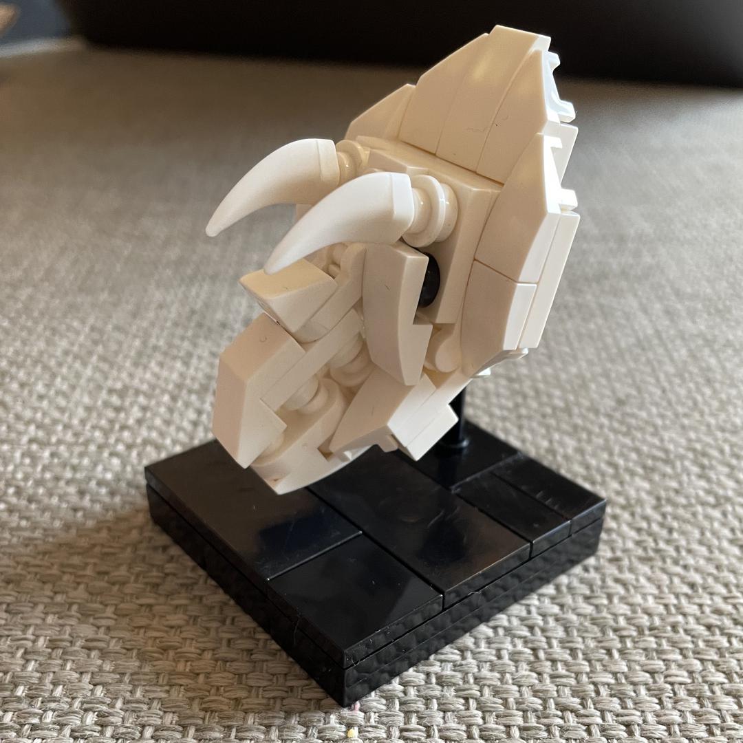 Triceratops Skull exhibition