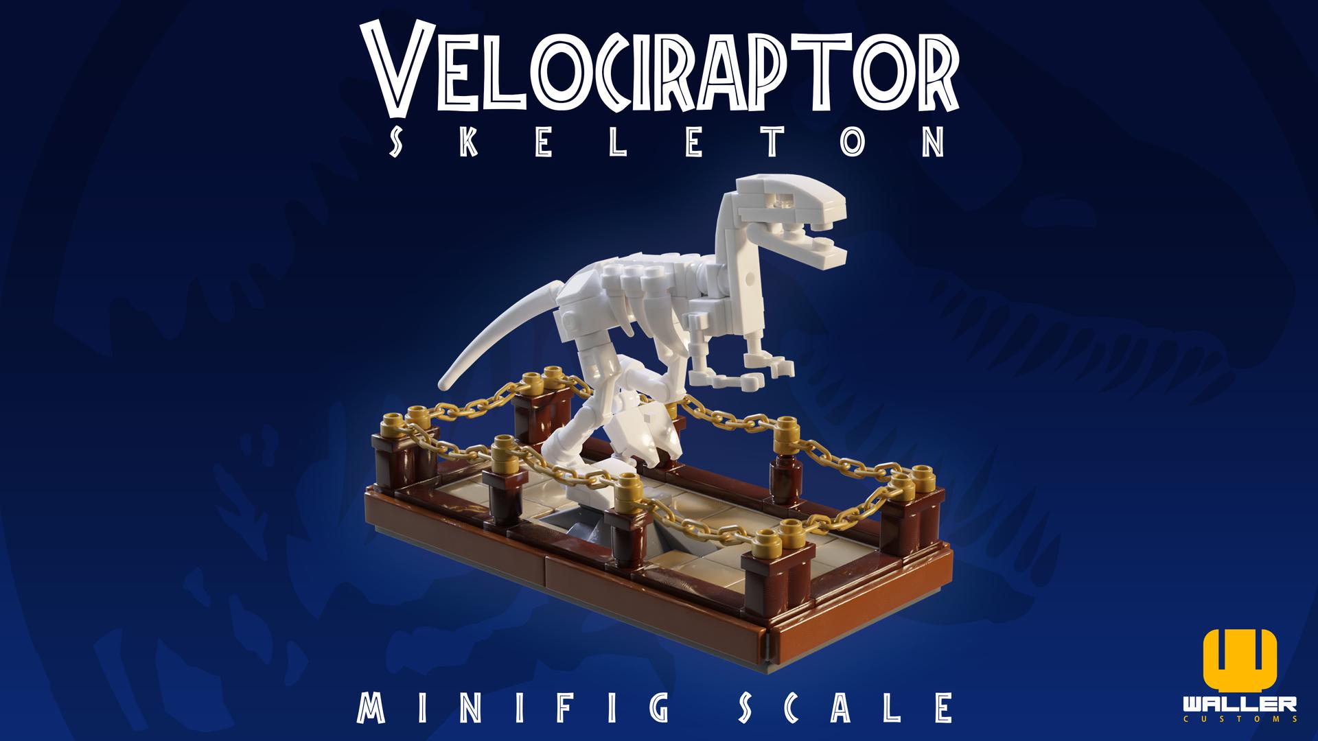 Velociraptor Skeleton - Minifigure Scale