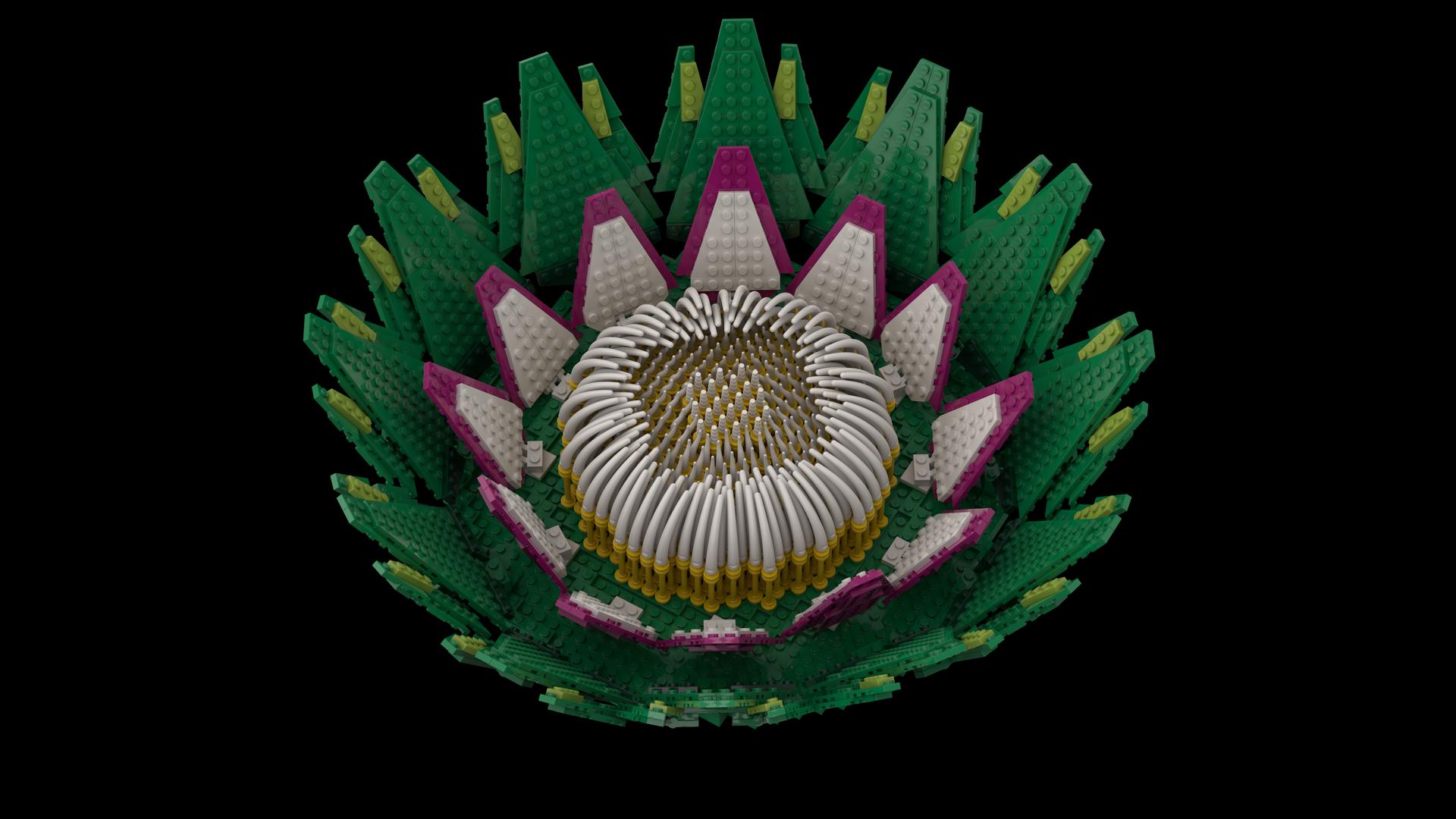 King Protea