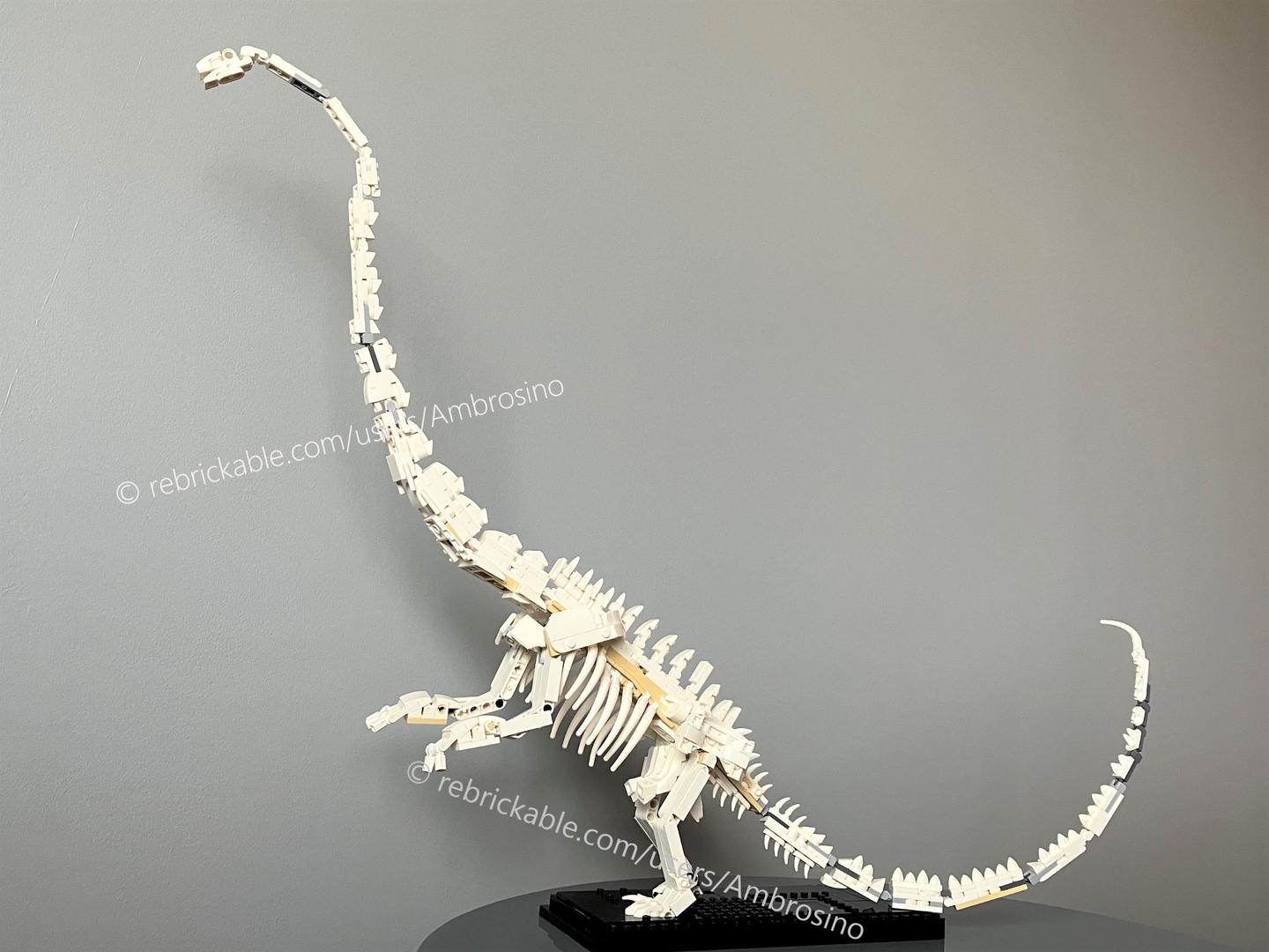 21320: Barosaurus skeleton