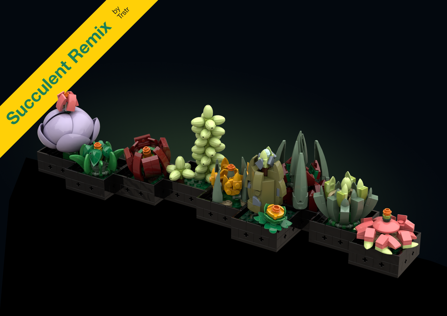 Succulent Remix