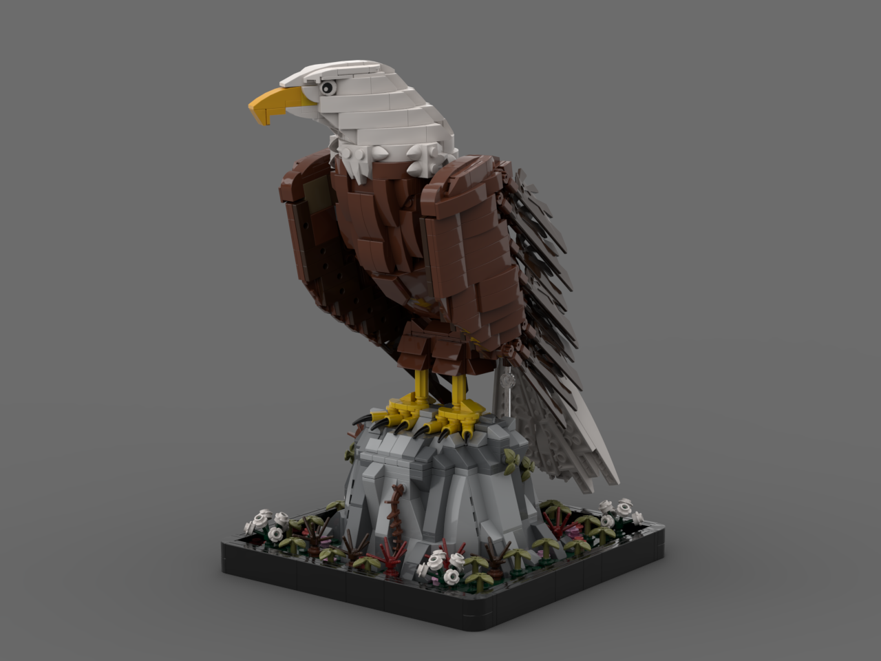 Bald Eagle