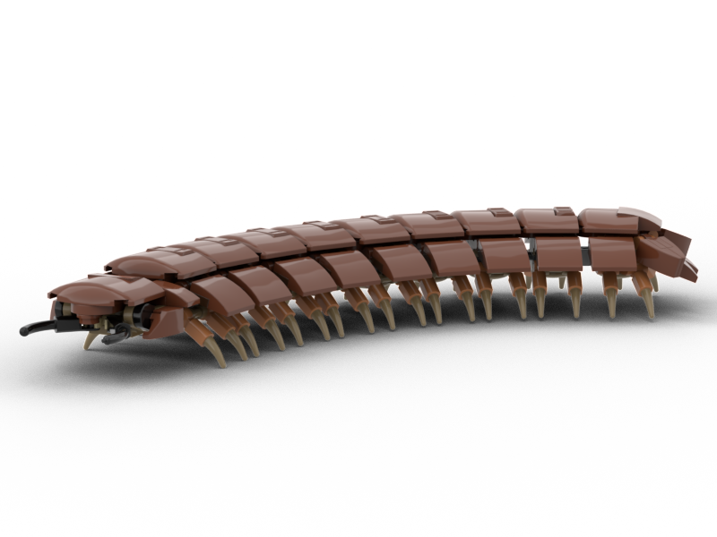 Arthropleura (Giant Millipede)