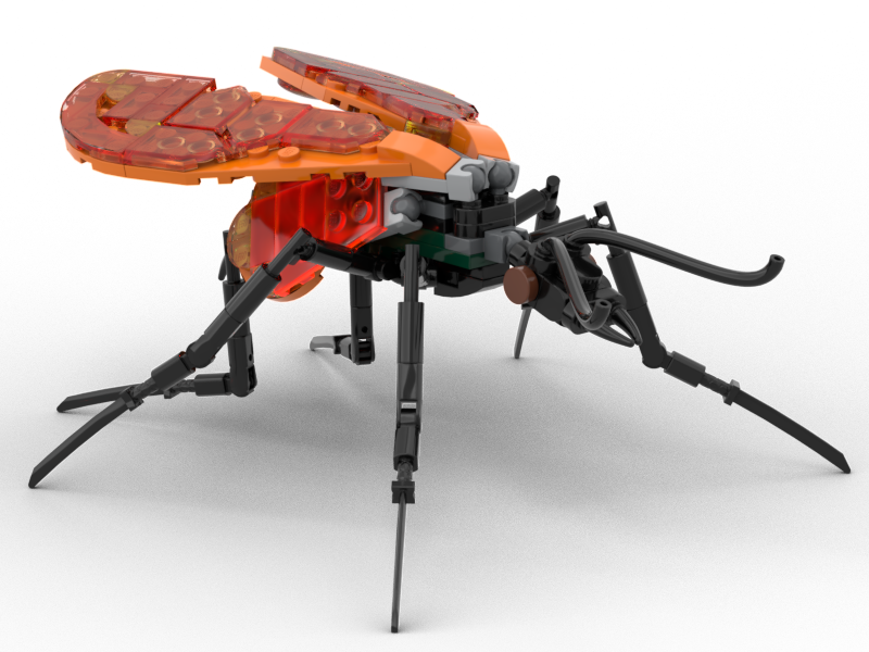 Tarantula Hawk Wasp: The Insect Collection