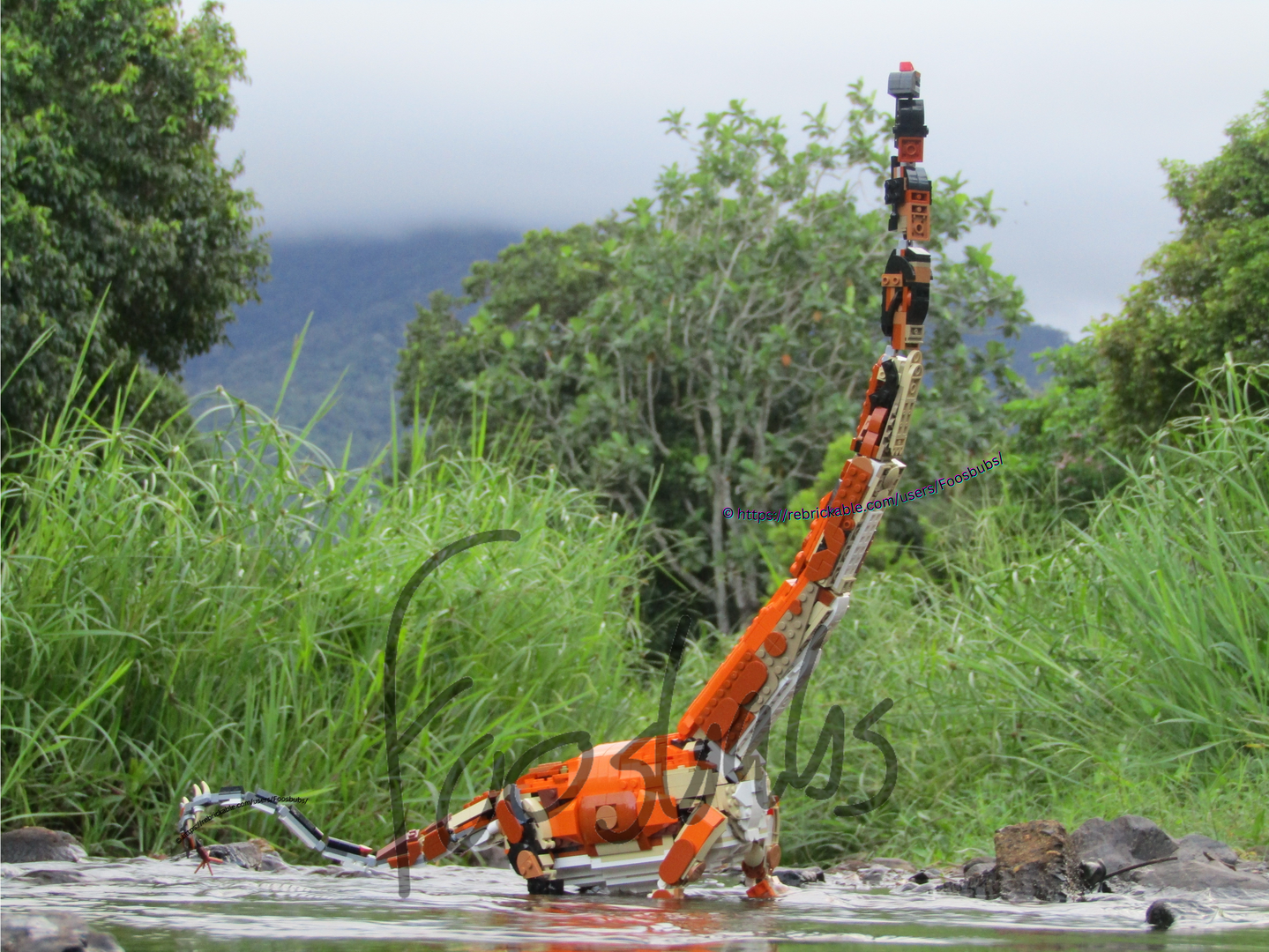 31129 + 31150 Breviparopus taghbaloutensis Maker