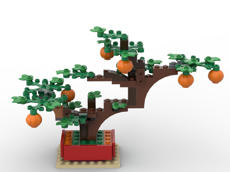 Mandarin Bonsai