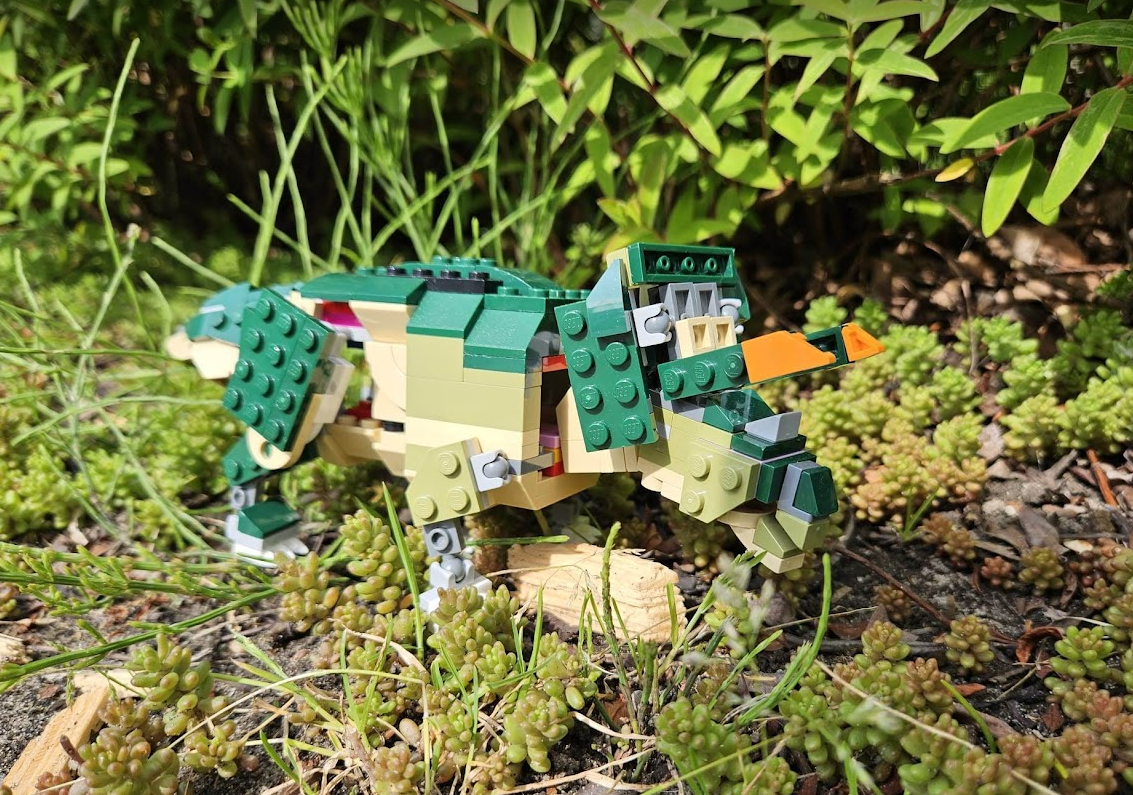 Triceratops horridus 31121