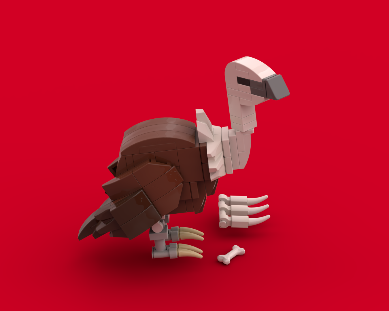 Griffon Vulture (Gyps fulvus)