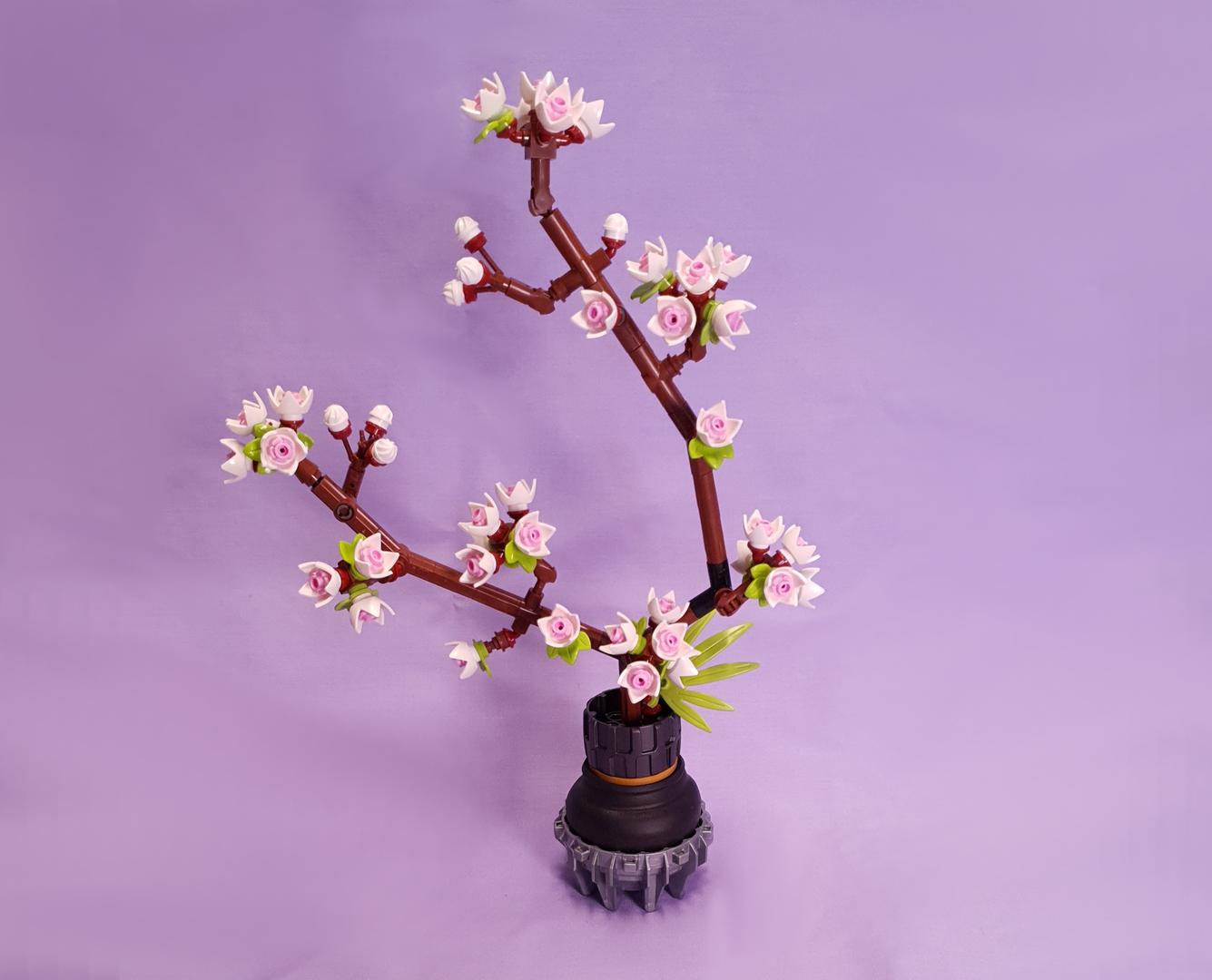 White Cherry Blossom in Vase