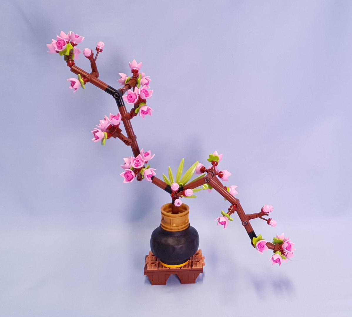 Pink Cherry Blossom in Vase