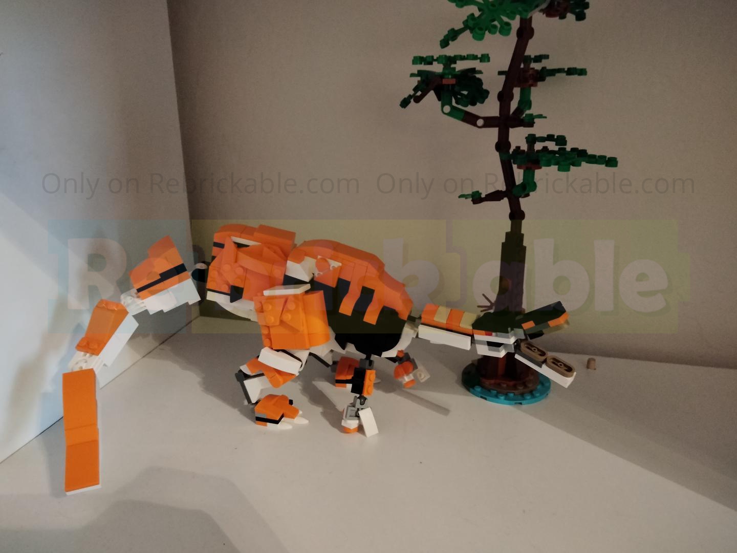 Mesozoic scale: Suchomimus tenerensis