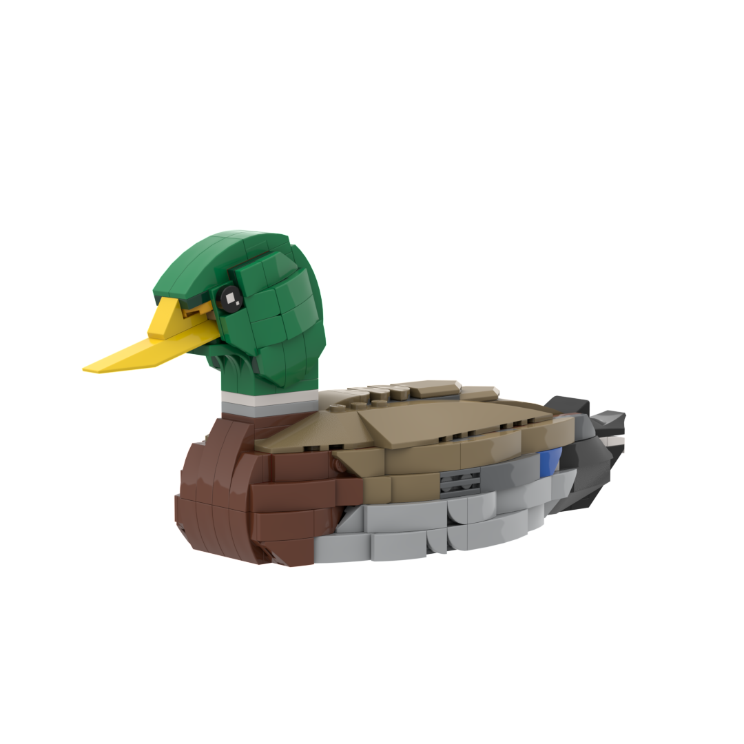 Mallard