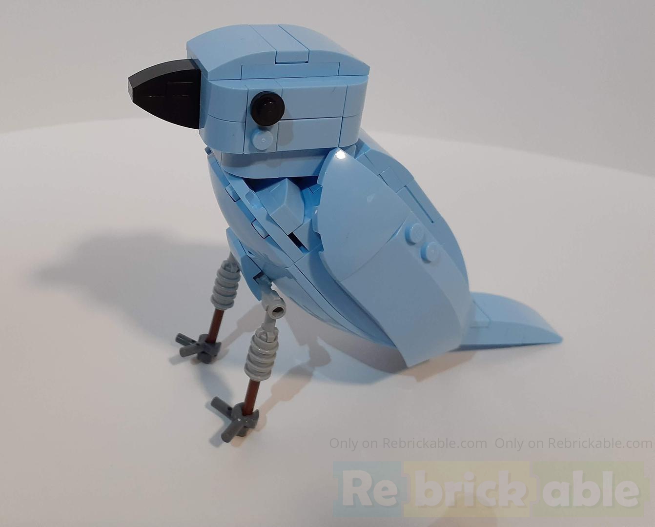 Pinyon Jay alternate build
