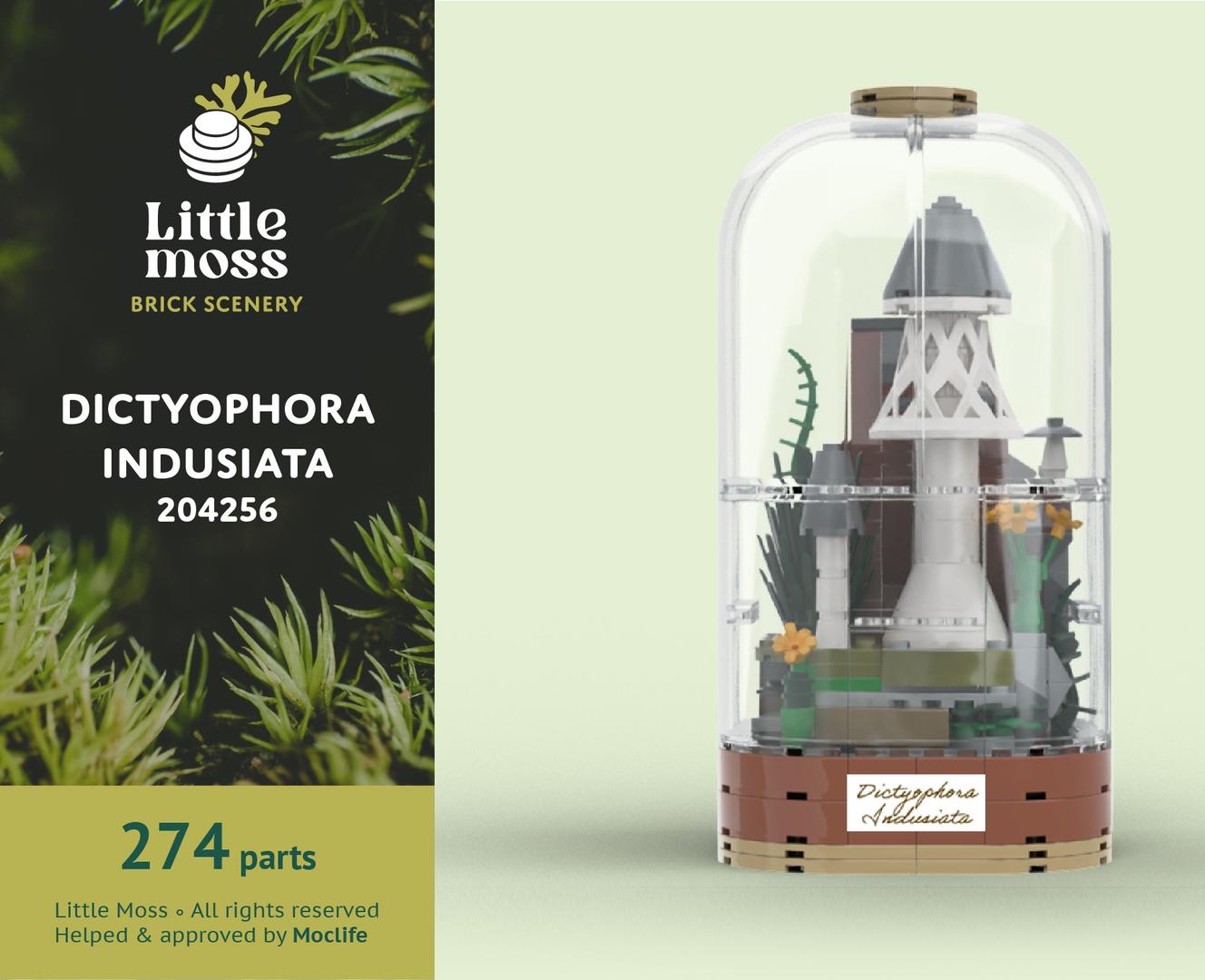 Dictyophora Indusiata (veiled lady)