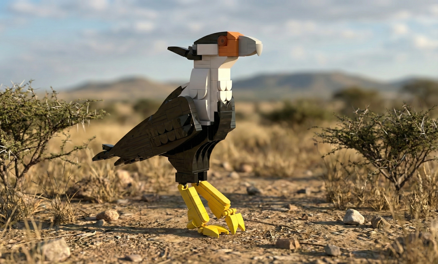 Crested Caracara cheriway
