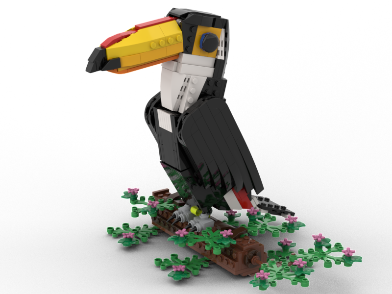 Toco Toucan