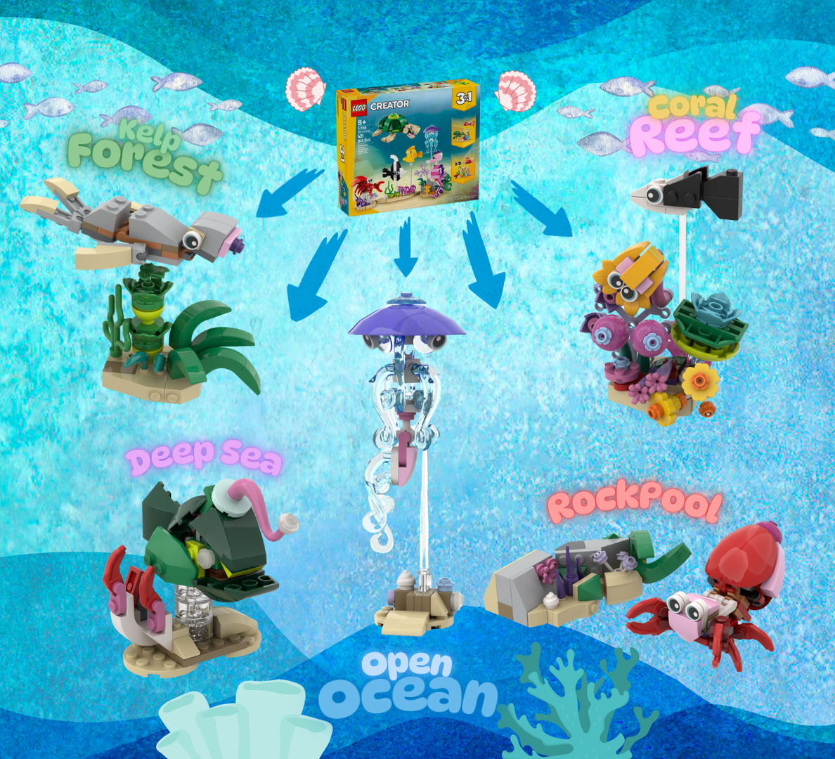 5 Habitats of the Sea